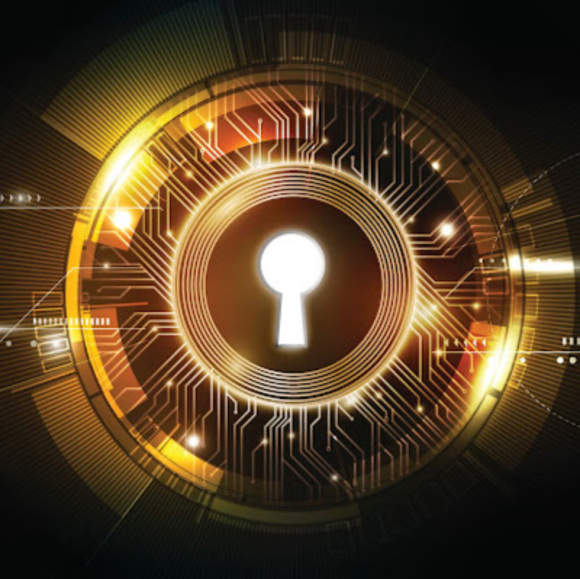 Meet your Posher, Luca - Picture 1 of 1